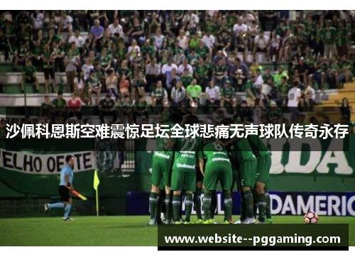 沙佩科恩斯空难震惊足坛全球悲痛无声球队传奇永存